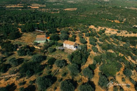 Landejendom i Les Useras, Castellon, Les Useras - € 140.000 | Ref: 794 - foto 3